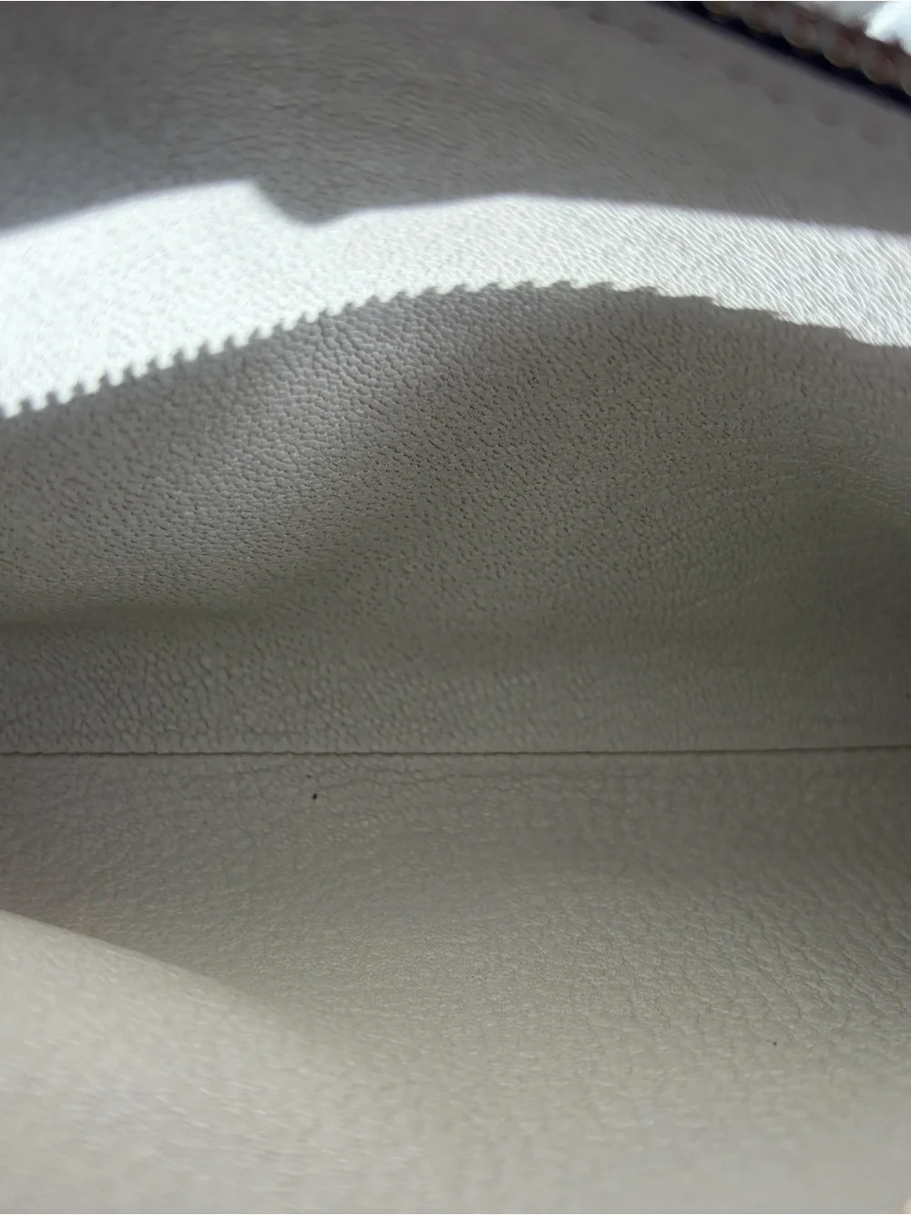 Louis Vuitton Iridescent Ostrich Leather Bag with Gold Chain & Crossbody Strap